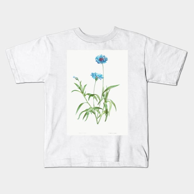 Cornflower - Botanical Illustration Kids T-Shirt by chimakingthings